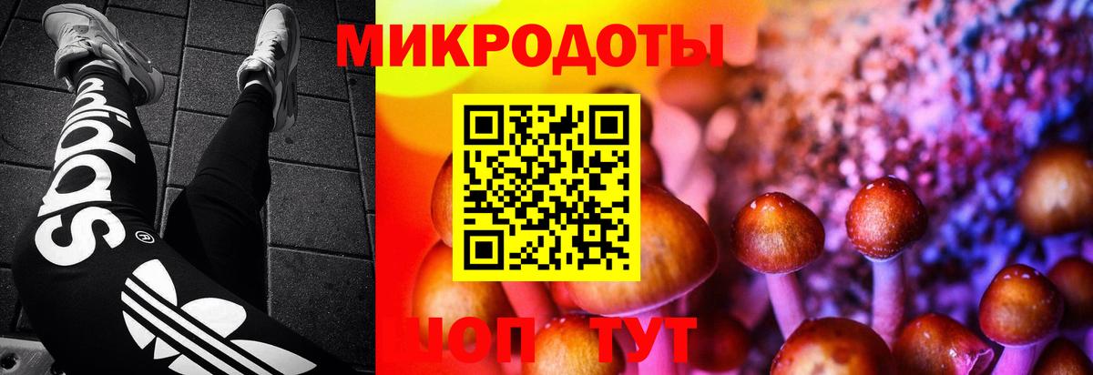 Галлюциногенные грибы Psilocybine cubensis  как найти наркотики  Хасавюрт  Вход с VPN 